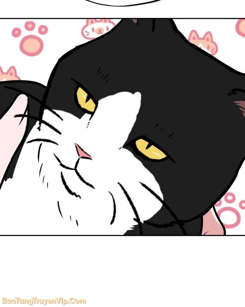 Dàn Harem Của Anh Bán Rong Chapter 2 - 48