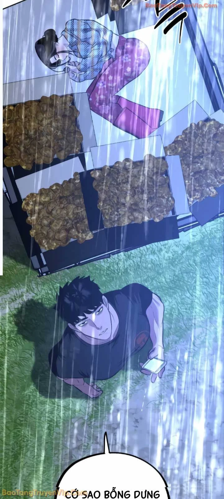 Dàn Harem Của Anh Bán Rong Chapter 17 - 15