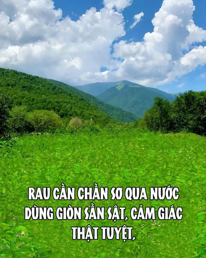 Dàn Harem Của Anh Bán Rong Chapter 20 - 63