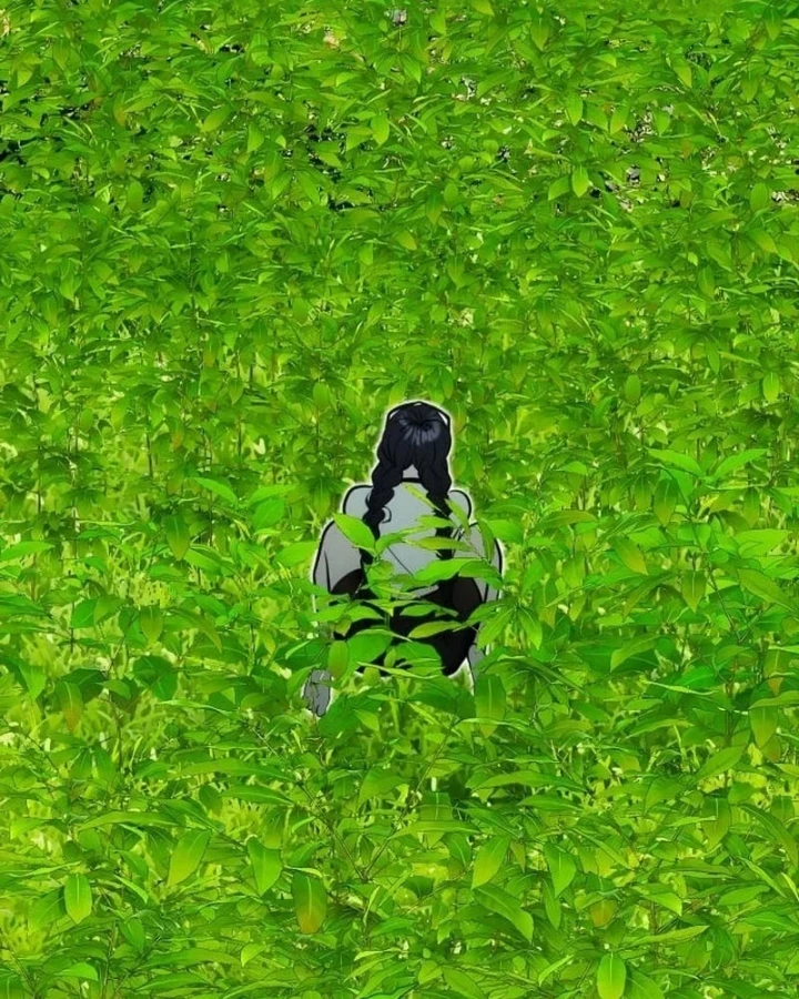 Dàn Harem Của Anh Bán Rong Chapter 20 - 64