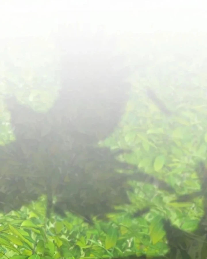 Dàn Harem Của Anh Bán Rong Chapter 20 - 66