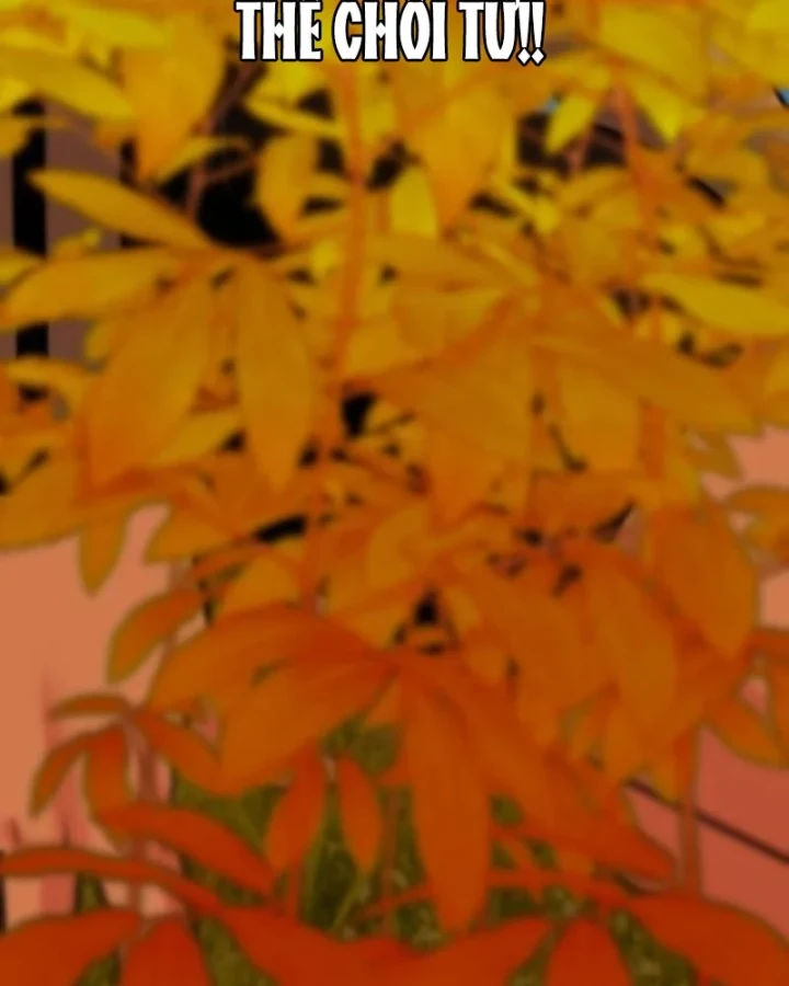 Dàn Harem Của Anh Bán Rong Chapter 20 - 73