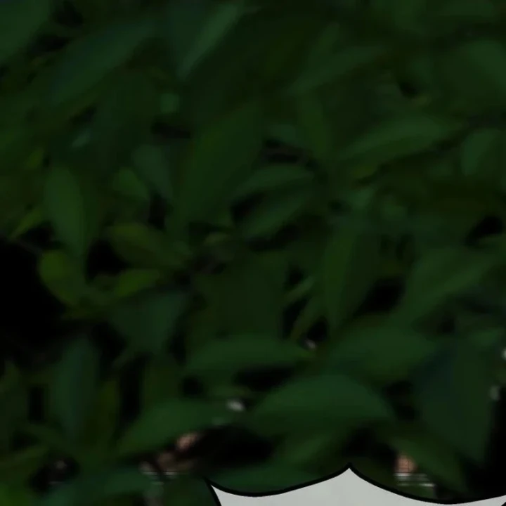 Dàn Harem Của Anh Bán Rong Chapter 25 - 70