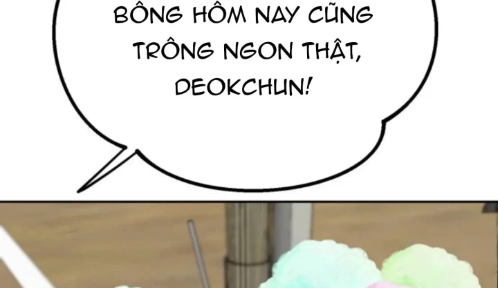Dàn Harem Của Anh Bán Rong Chapter 34 - 212