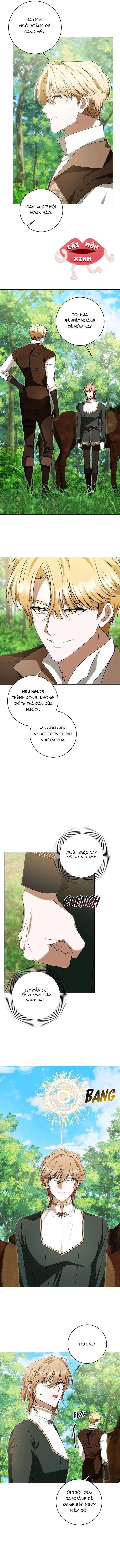 Nữ Dược Sư Của Vị Hoàng Đế Si Tình Chapter  31 - 9