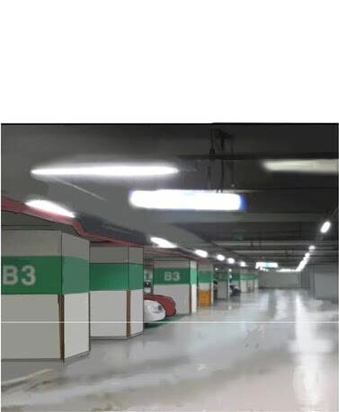 The Dead King Chapter 61 - 55