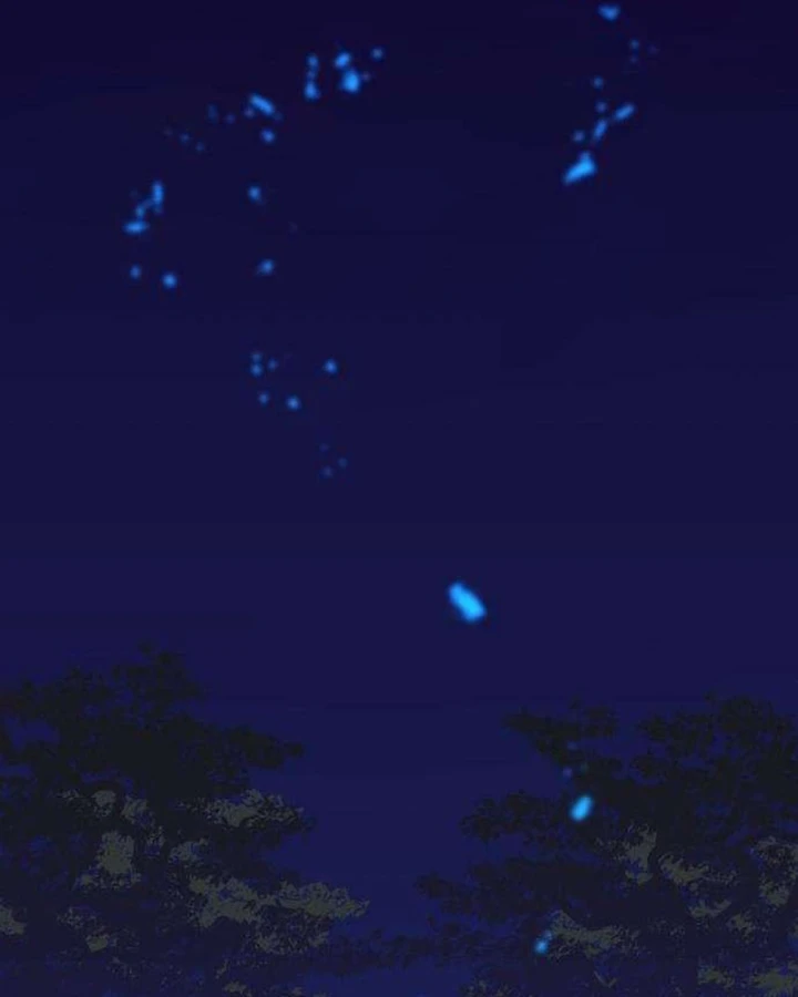 Lính Đánh Thuê Từ Dị Giới Chapter 6 - 127