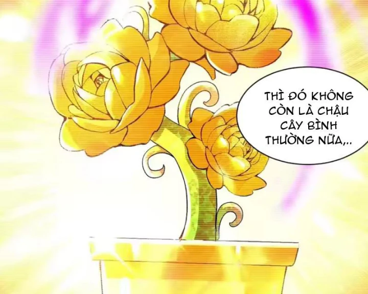 Ta Sẽ Trở Thành Thần Minh! Chapter 35 - 71