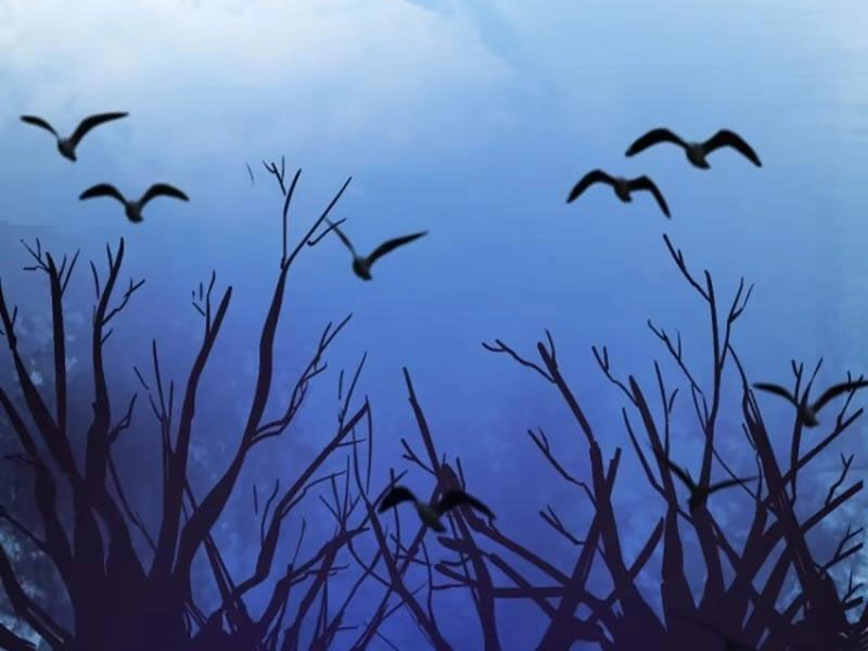 Tu Tiên Giả Cuối Cùng Chapter 29 - 72