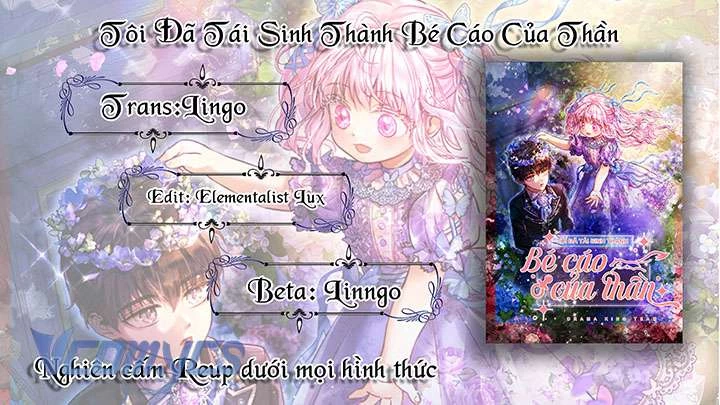Tôi Đã Tái Sinh Thành Bé Cáo Của Thần Chapter 62 - 11