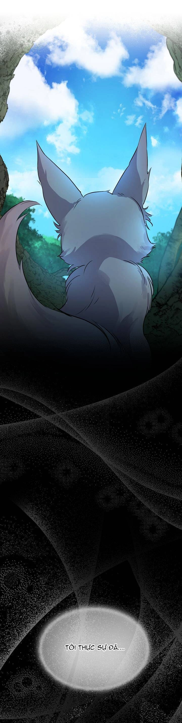 Tôi Đã Tái Sinh Thành Bé Cáo Của Thần Chapter 0 - 5