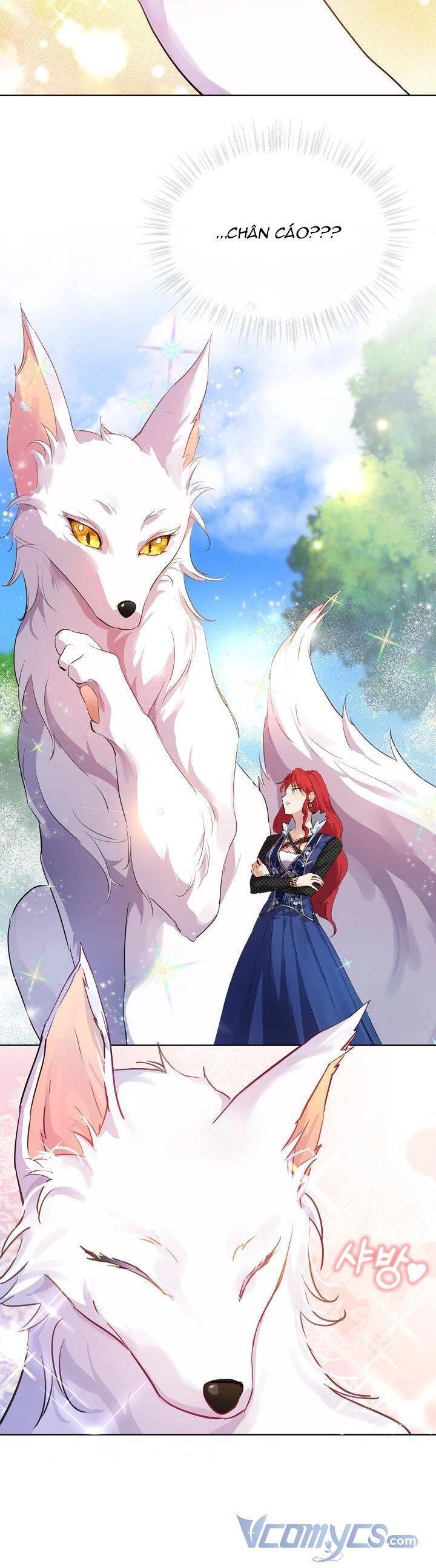 Tôi Đã Tái Sinh Thành Bé Cáo Của Thần Chapter 0 - 35