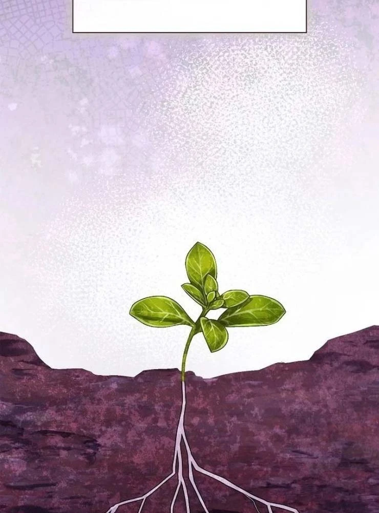 Tái Sinh Thành Tam Thiếu Gia Nhà Đại Công Tước Chapter 16 - 75