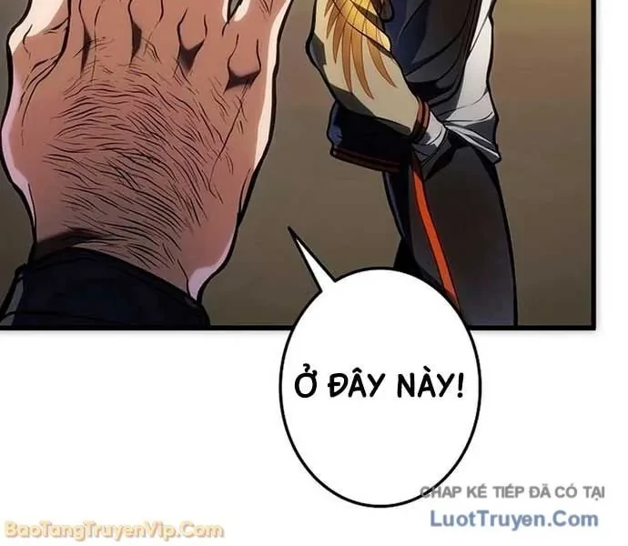 Trọng Sinh Giả Streaming Chapter 13 - 95