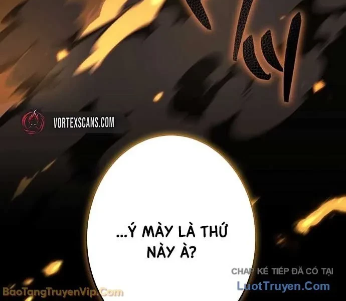 Trọng Sinh Giả Streaming Chapter 14 - 30