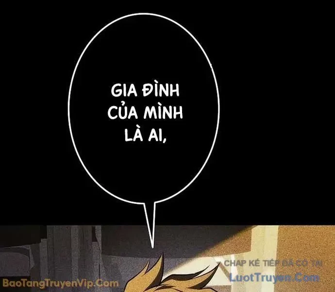 Trọng Sinh Giả Streaming Chapter 17 - 46