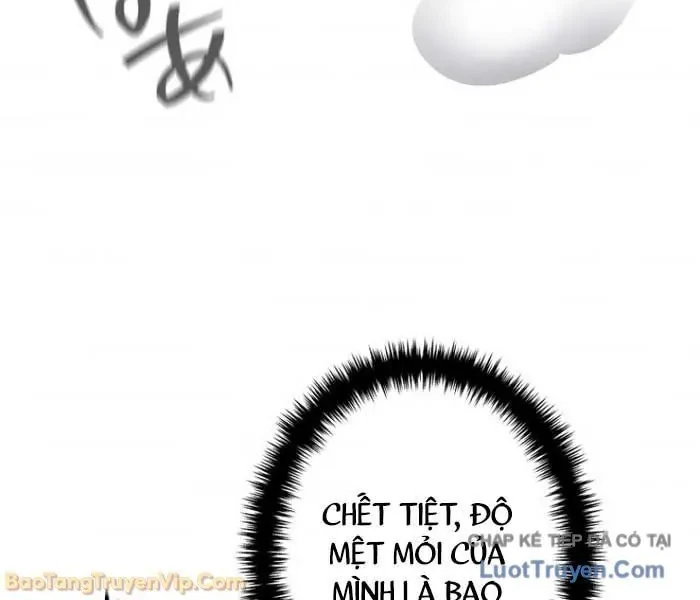 Trọng Sinh Giả Streaming Chapter 19 - 30