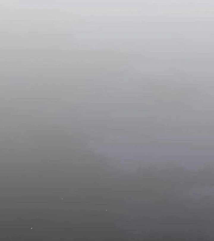 Trọng Sinh Giả Streaming Chapter 49 - 173