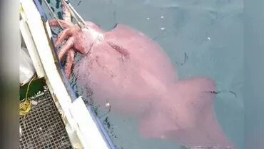 Dị Tộc Trùng Sinh Chapter 152 - 13