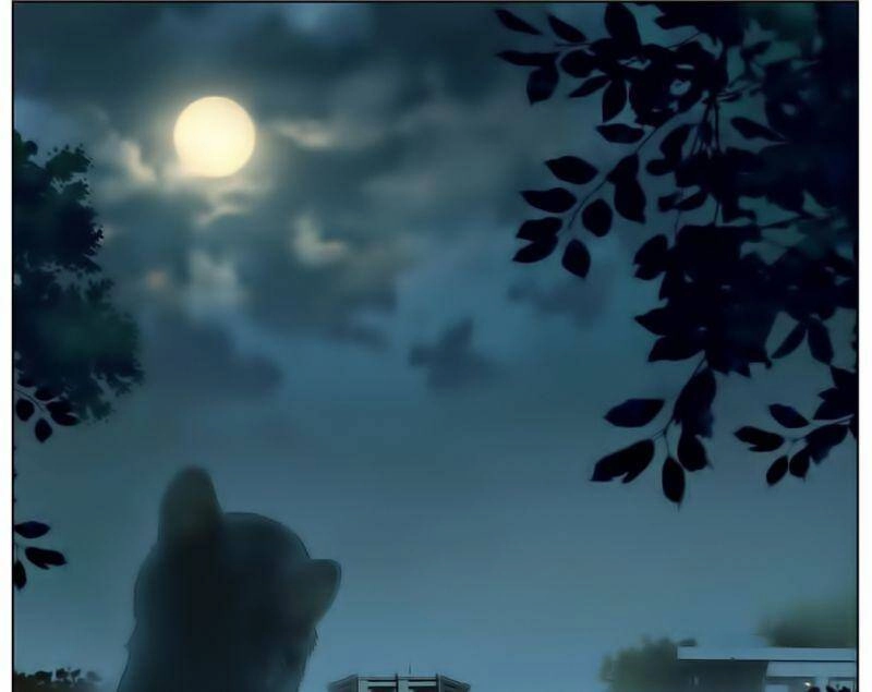 Dị Tộc Trùng Sinh Chapter 183 - 29