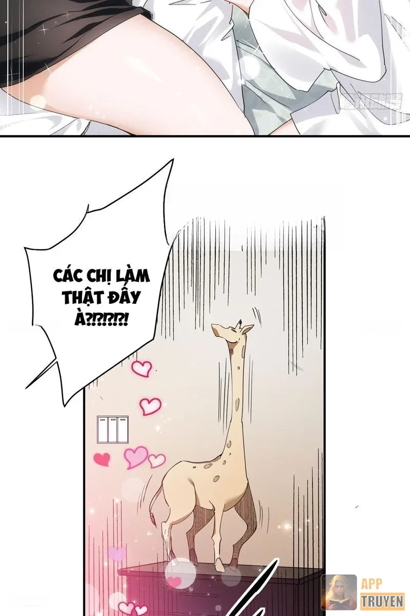 Tẩu Tử: Ta Thật Không Phải Kẻ Ngốc Chapter 1 - 97