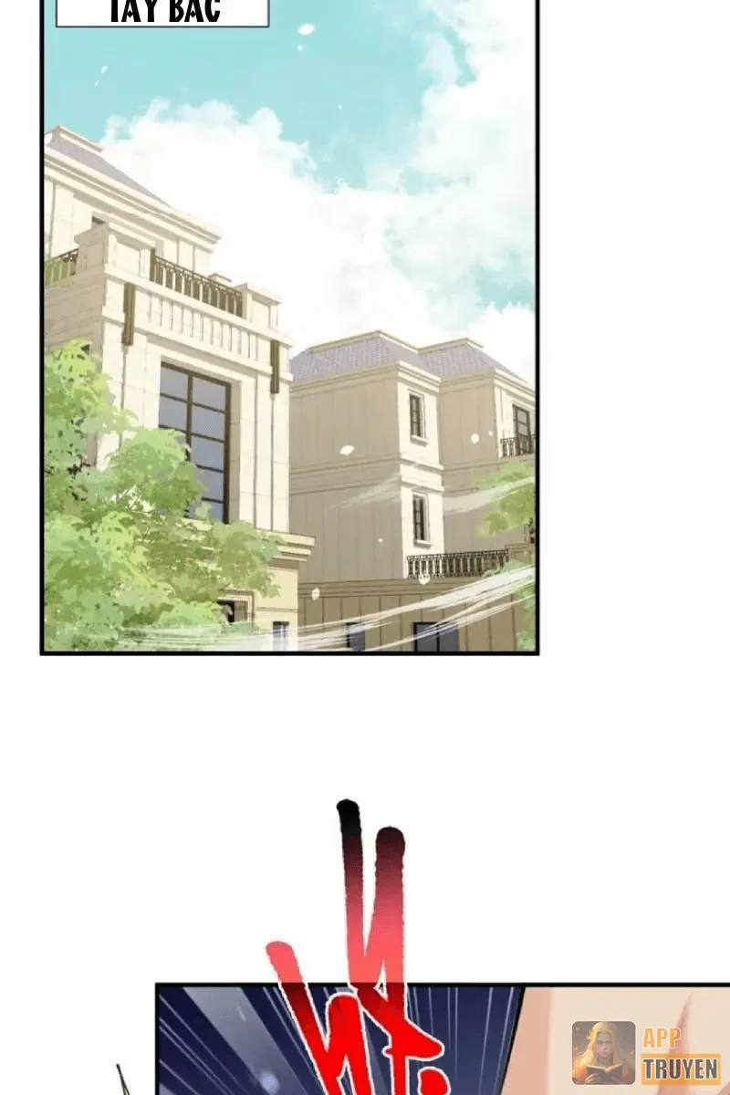 Tẩu Tử: Ta Thật Không Phải Kẻ Ngốc Chapter 31 - 44