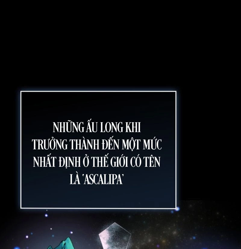 Hồi Quy Trở Thành Người Bảo Hộ Rồng Chapter 1 - 206