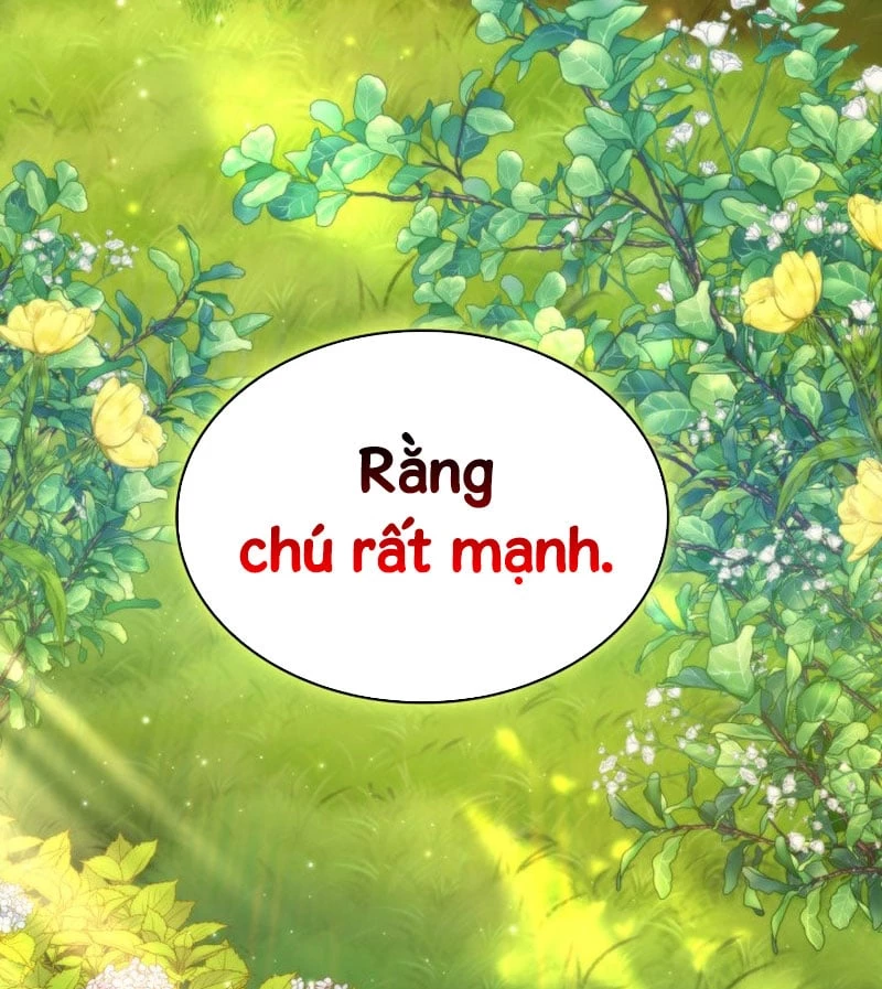 Hồi Quy Trở Thành Người Bảo Hộ Rồng Chapter 2 - 29