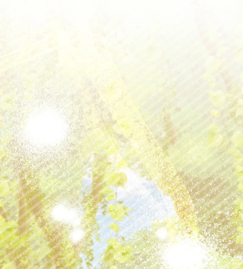 Hồi Quy Trở Thành Người Bảo Hộ Rồng Chapter 3 - 197