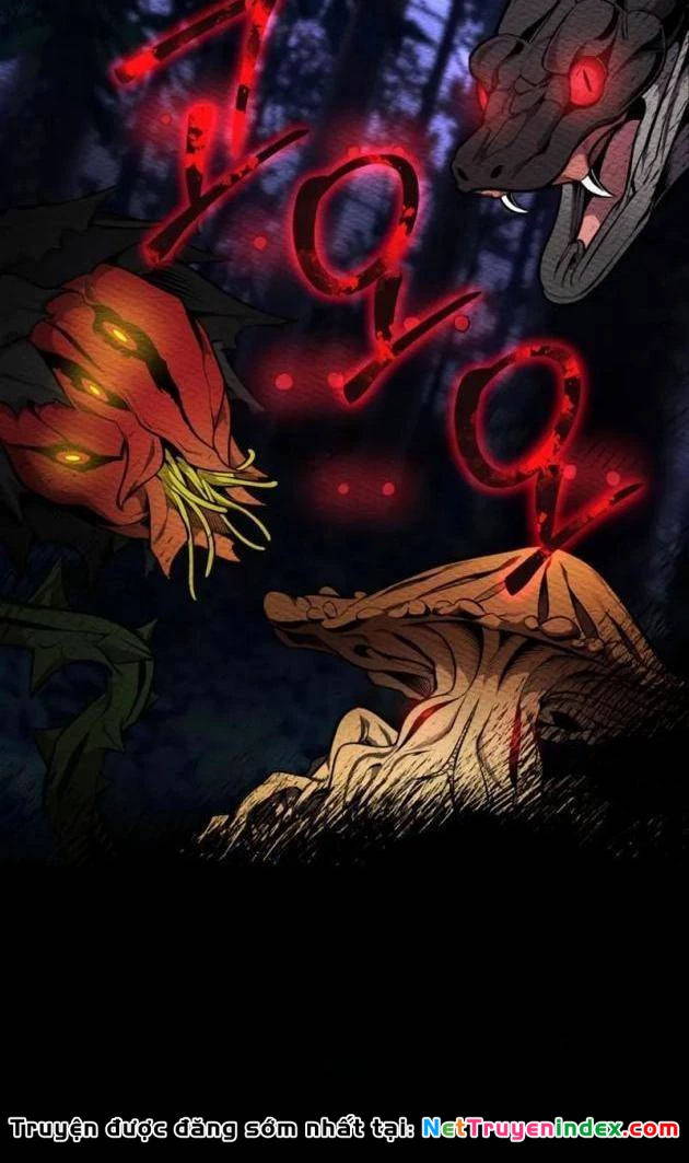 Hồi Quy Trở Thành Người Bảo Hộ Rồng Chapter 16 - 41