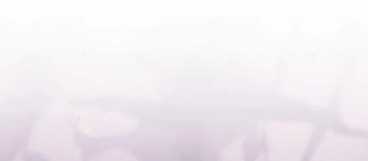 Hồi Quy Trở Thành Người Bảo Hộ Rồng Chapter 22 - 116