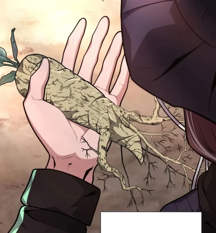 Hồi Quy Trở Thành Người Bảo Hộ Rồng Chapter 25 - 167