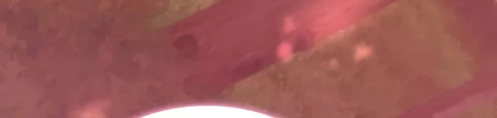 Hồi Quy Trở Thành Người Bảo Hộ Rồng Chapter 25 - 207