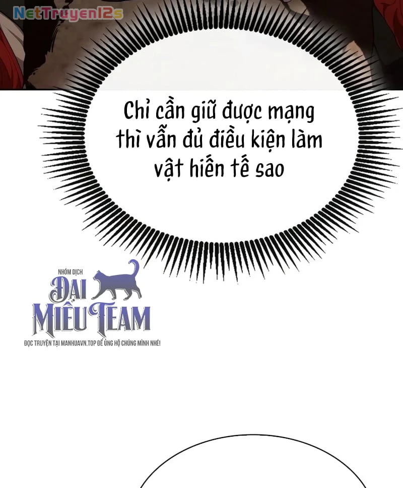 Hồi Quy Trở Thành Người Bảo Hộ Rồng Chapter 51 - 17