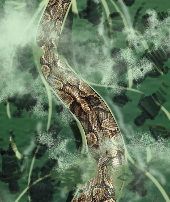 Biệt Bảo Quỷ Sự Lục Chapter 15 - 28