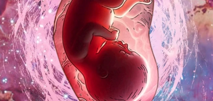 Biệt Bảo Quỷ Sự Lục Chapter 24 - 70