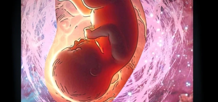 Biệt Bảo Quỷ Sự Lục Chapter 24 - 141