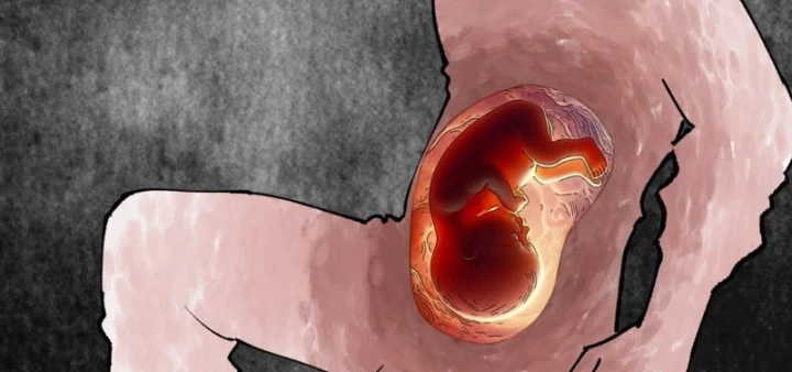 Biệt Bảo Quỷ Sự Lục Chapter 24 - 175