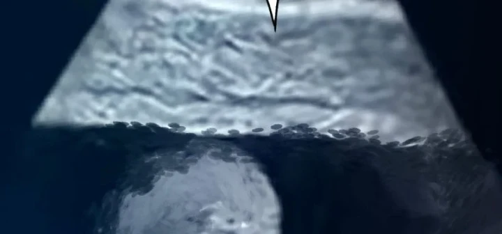 Biệt Bảo Quỷ Sự Lục Chapter 30 - 73