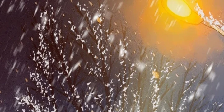 Biệt Bảo Quỷ Sự Lục Chapter 30 - 192