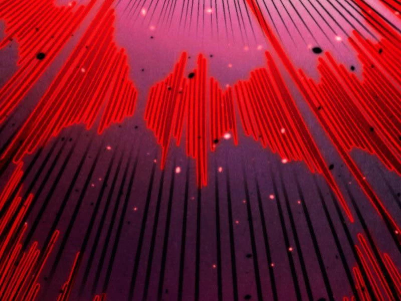 Vạn Cổ Chí Tôn Chapter 486 - 10