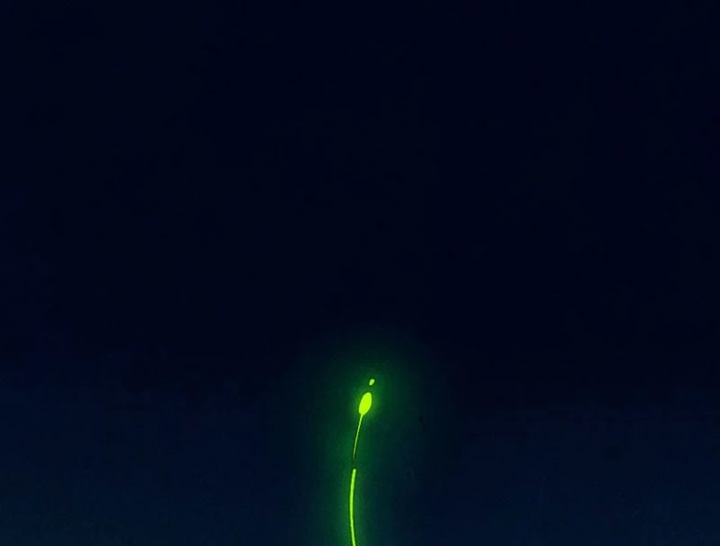 Vạn Cổ Chí Tôn Chapter 509 - 69