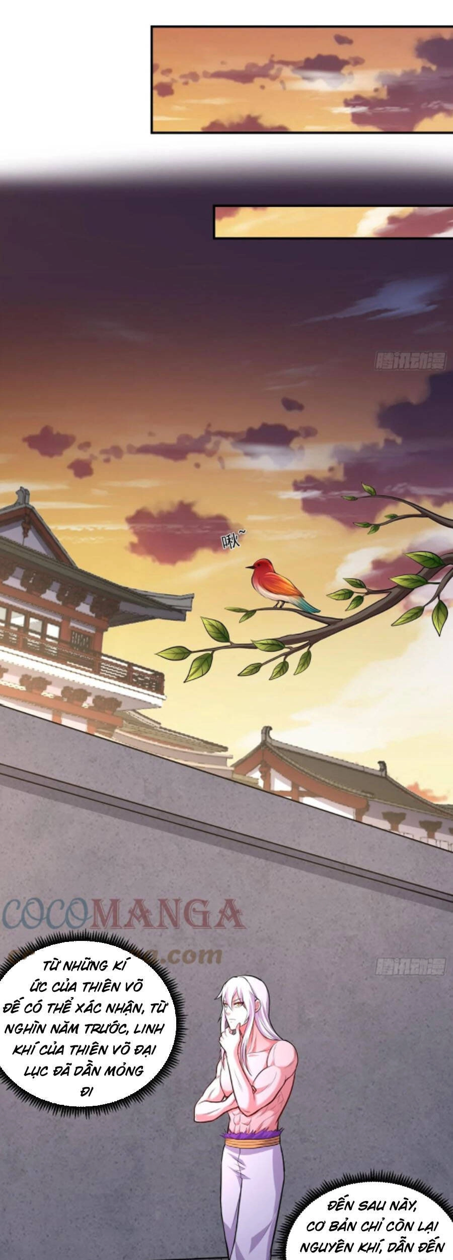 Bổn Tế Tu Chính Là Tiện Đạo Chapter 198 - 17