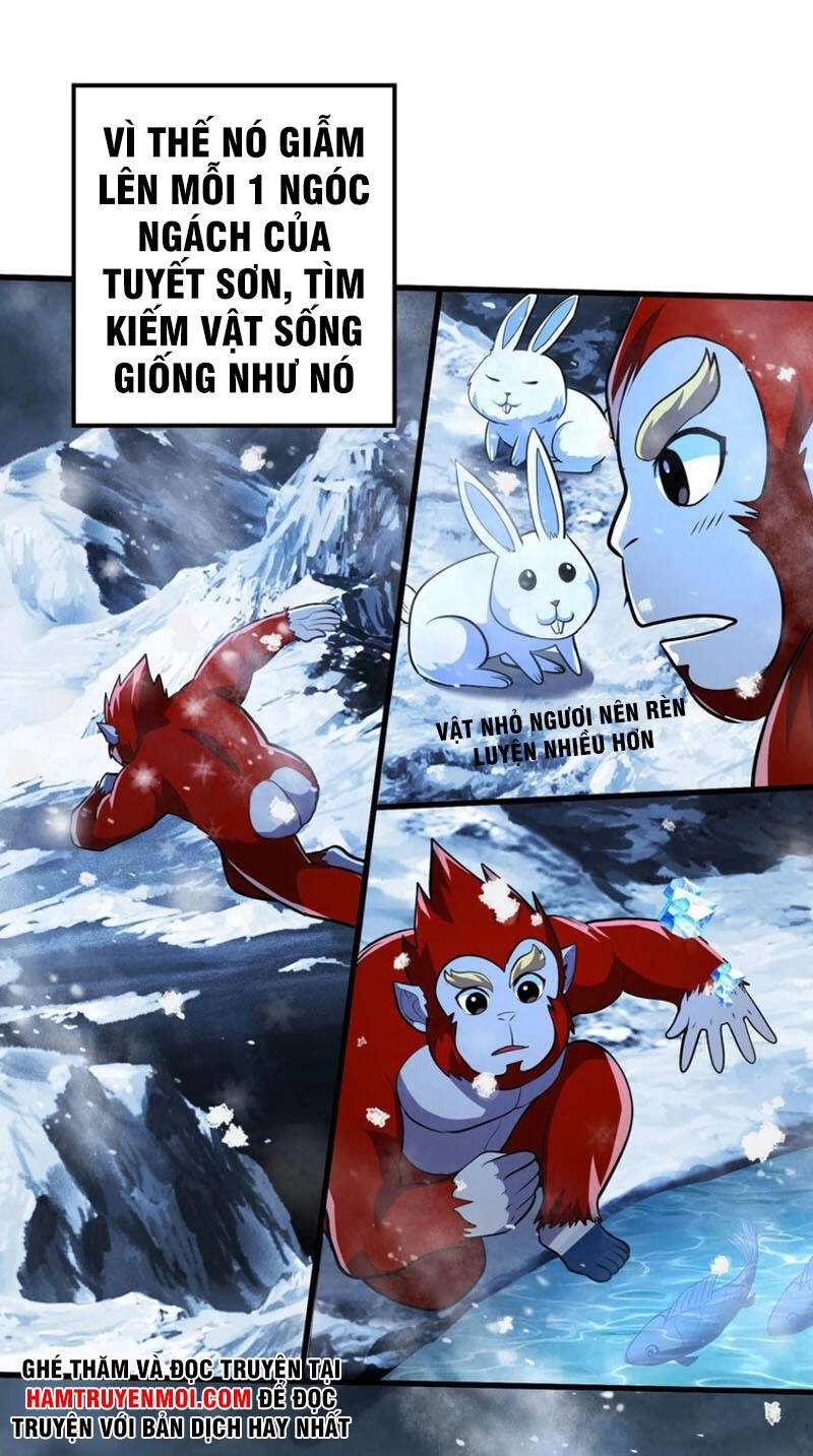 Bổn Tế Tu Chính Là Tiện Đạo Chapter 212 - 25