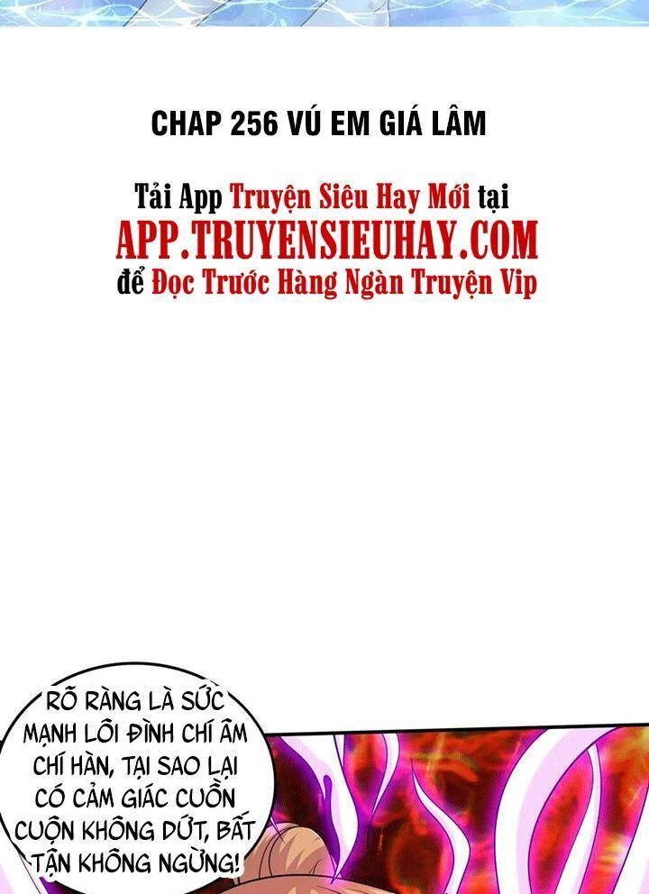 Bổn Tế Tu Chính Là Tiện Đạo Chapter 256 - 2