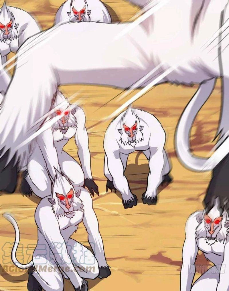 Bổn Tế Tu Chính Là Tiện Đạo Chapter 279 - 56