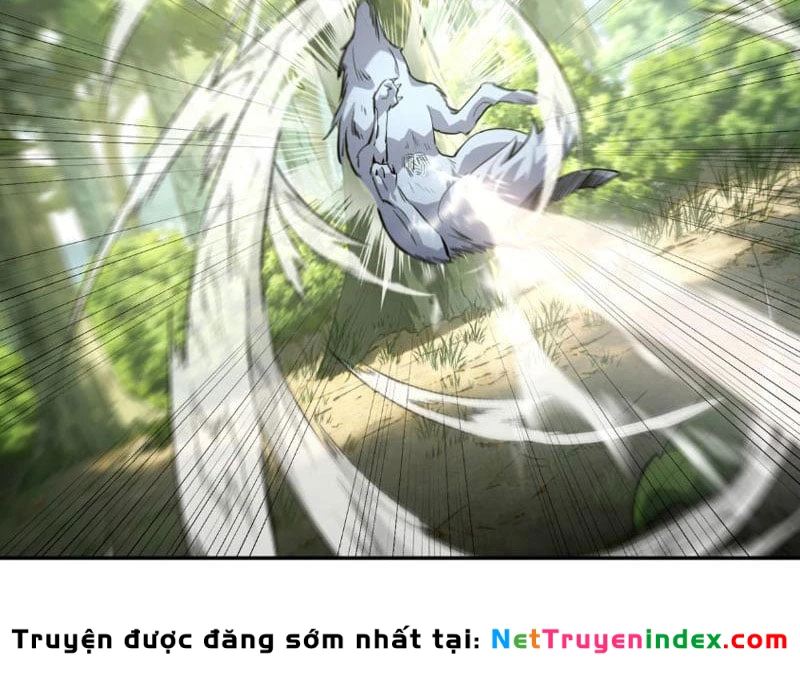 Cao Võ: Một Tay Nghiền Nát Ba Ngàn Đại Đế! Chapter 5 - 12