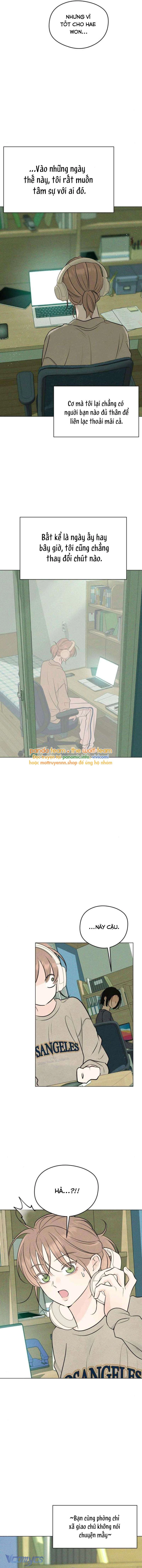 Mối Tình Đầu Của Kẻ Côn Đồ Chapter 8 - 17