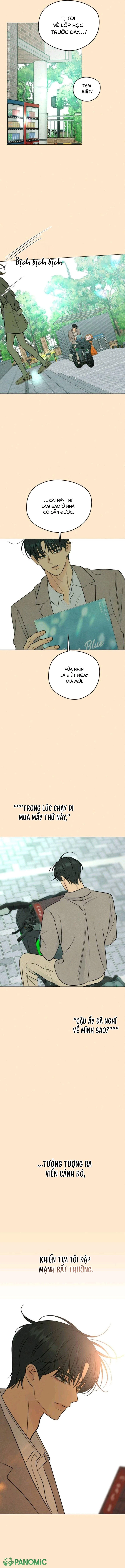 Mối Tình Đầu Của Kẻ Côn Đồ Chapter  15 - 16