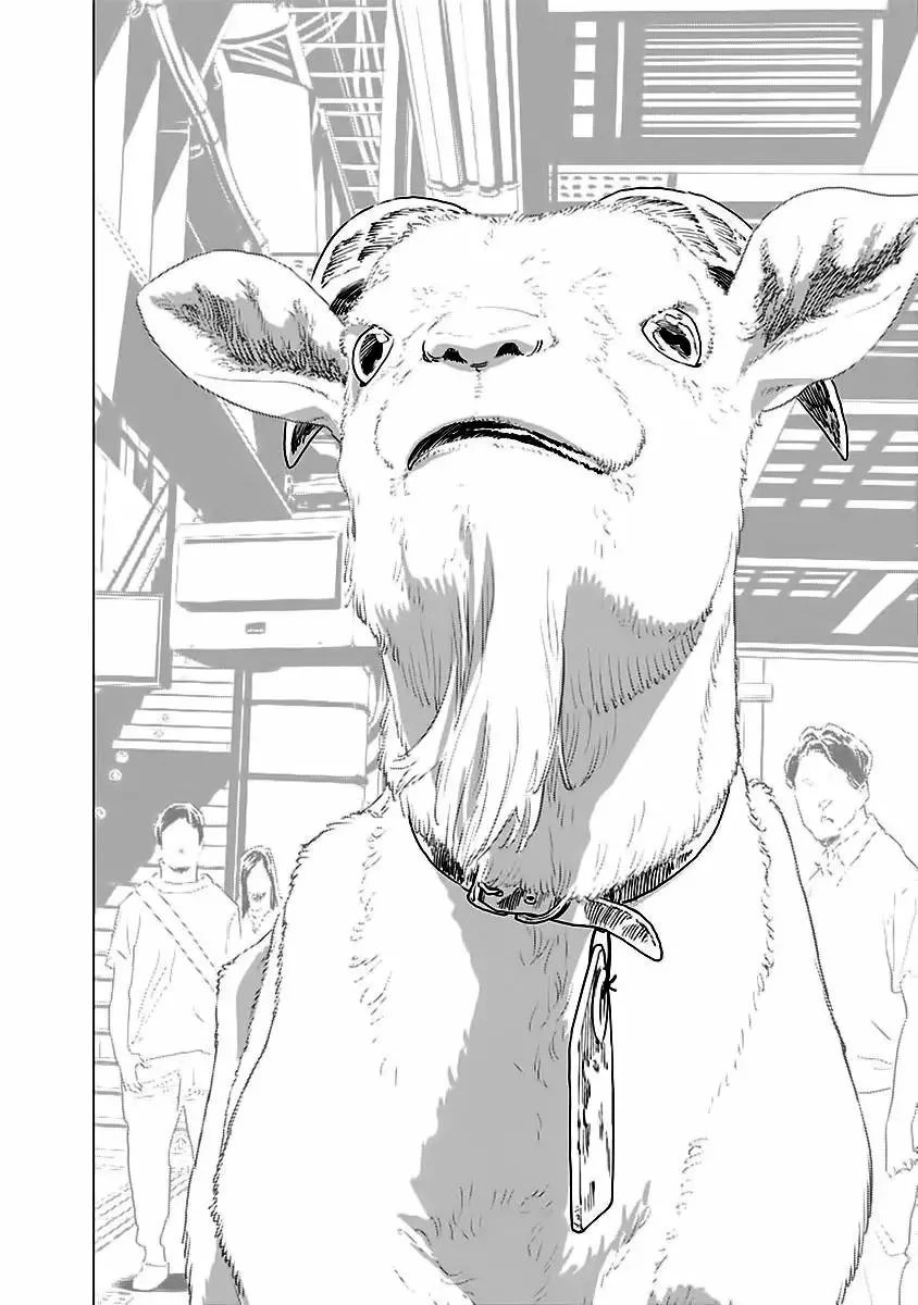 My Capricorn Friend Chapter 5 - 10